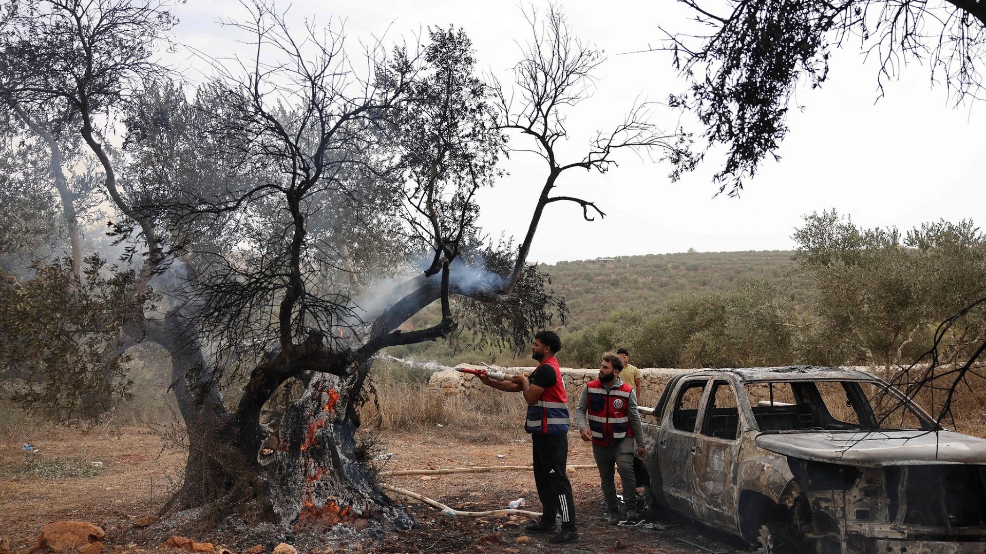 Activists put out a fire on an olive tree near the village of Tulmusaya, north of Ramallah in the West Bank, that was allegedly set on fire by Israeli settlers. /CFP