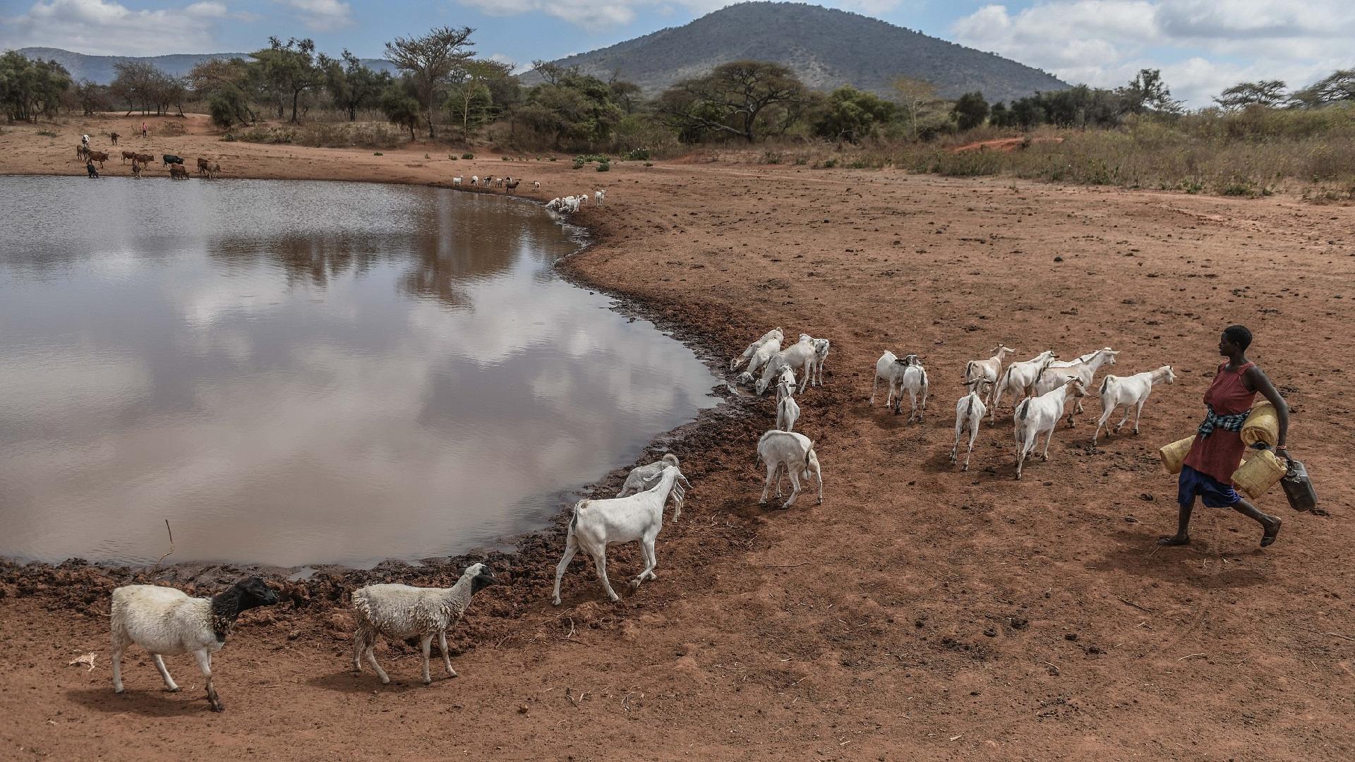 Oxfam analysis finds richest 0.1% emit more carbon than poorest 3.5 billion people